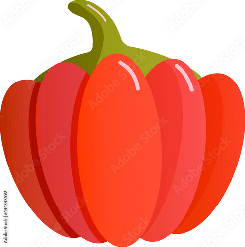 Orange pumpkin vector image for illustration for harvest season and halloween 