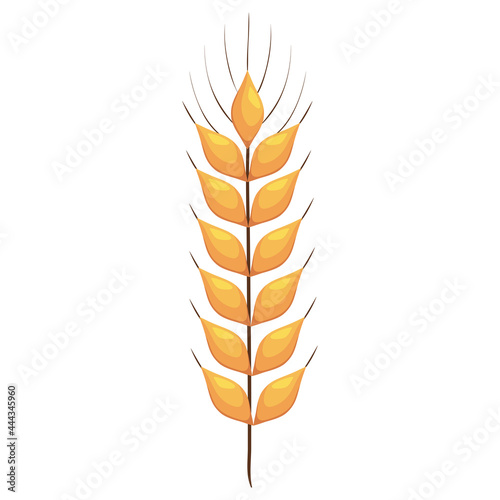 wheat spike icon
