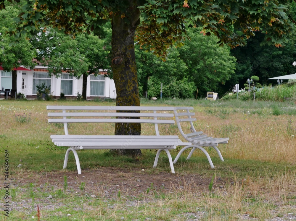 Parkbank unter Bäumen in Sassnitz auf Rügen Parkbank unter Bäumen in Sassnitz auf Rügen
