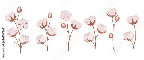 Hand drawn eco blossom cotton flowers set