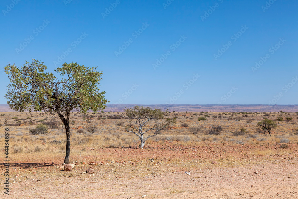 Landschaft in Namibia Landschaft in Namibia