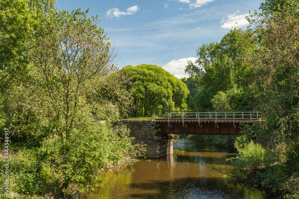 Small railway bridge over a small river in a summer forest among greenery