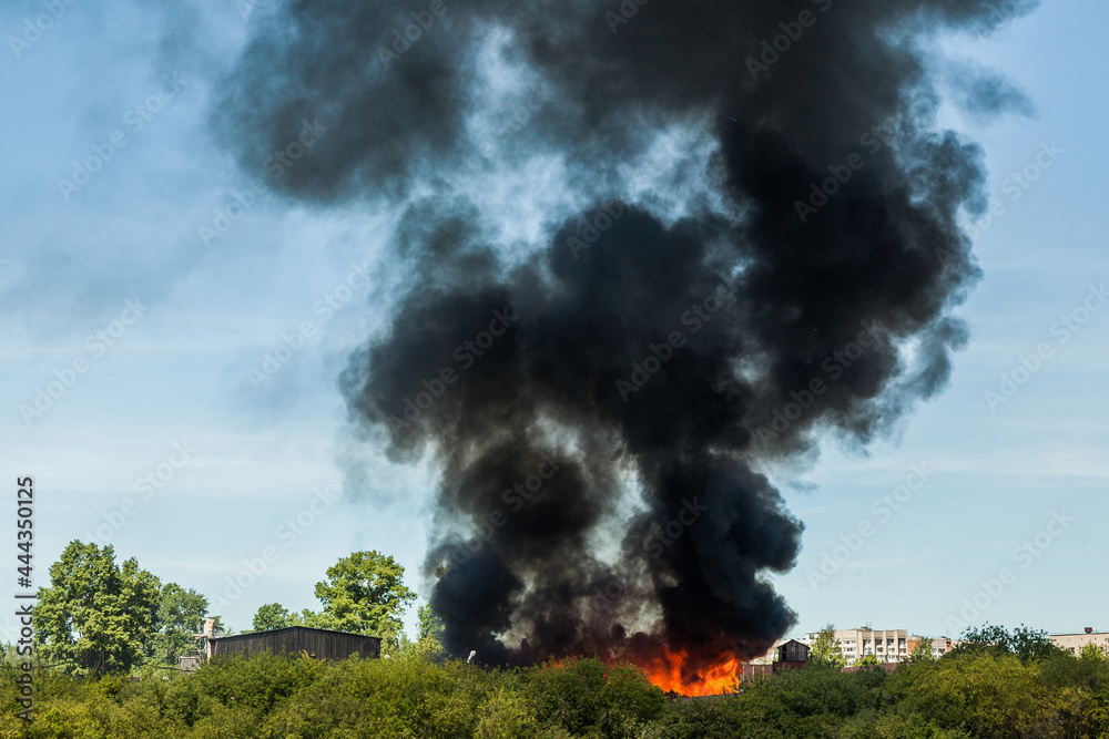 Fototapeta premium Burning bushes on the banks of the river. A sawmill fire and a huge plume of smoke
