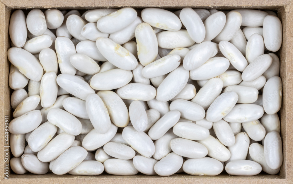 top view of white bean (Phaseolus vulgaris) seeds in a rectangular wooden box. top view of white bean (Phaseolus vulgaris) seeds in a rectangular wooden box.