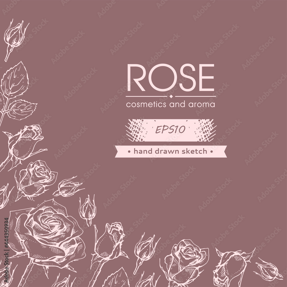 Background with Roses. Detailed hand-drawn sketches, vector