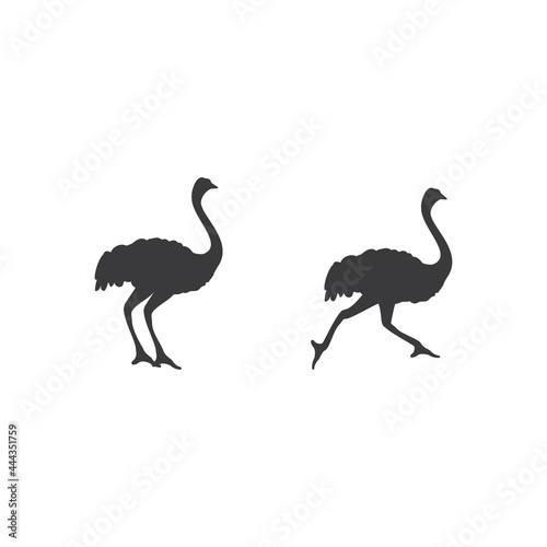 Ostrich illustration © devankastudio