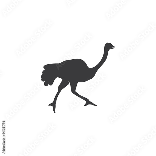Ostrich illustration