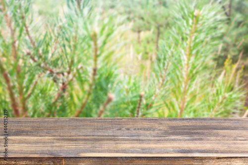 wood table top on blur pine branches background