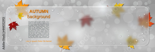 Autumn style vector banner template. Abstract blurred background with colorful leaves, glass billboard and glassmorphism effect