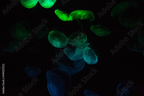 background with bubbles © electronica