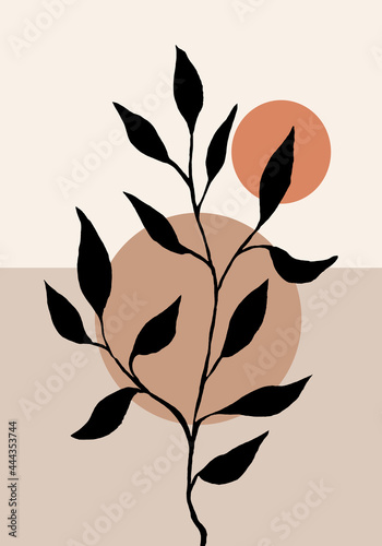 Abstract trendy Botanical wall art. Foliage line art drawing with shape. Minimal, natural wall art.