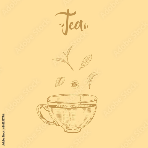 Hand-drawn lettering tea cup with the saucer.