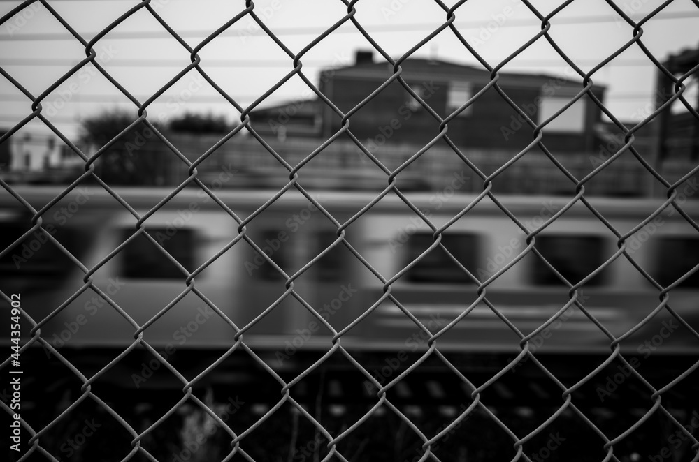 Fototapeta premium Wire fence