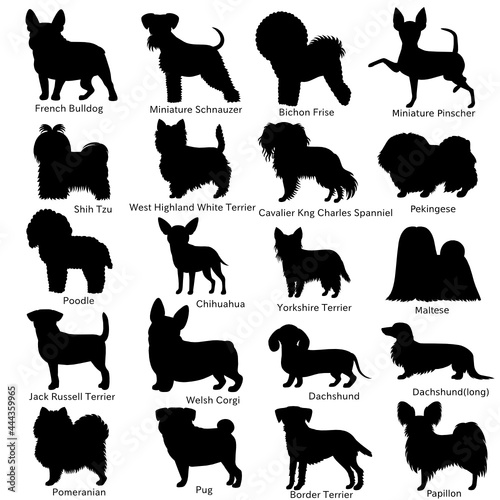 small dog breeds silhouette bundle