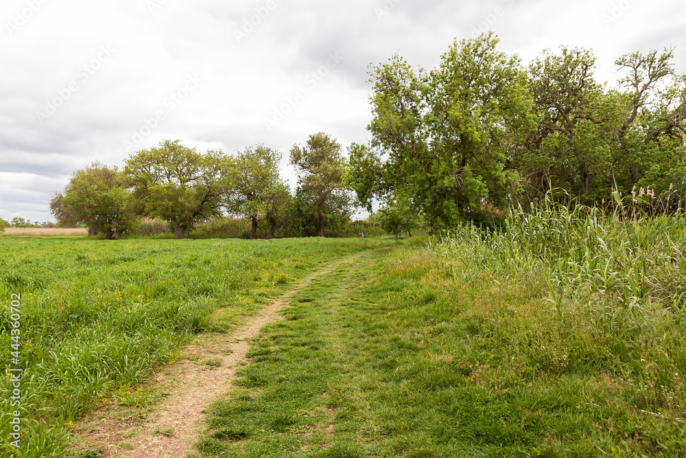 Awesome Green Sceneries of Natural Reserve of Ciane River (Riserva Naturale Fiume Ciane-Saline di Siracusa) in Syracuse, Sicily, Italy.