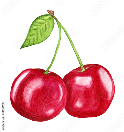 Ripe red cherry on a twig. Juicy illustration of sweet cherry watercolor. High quality illustration