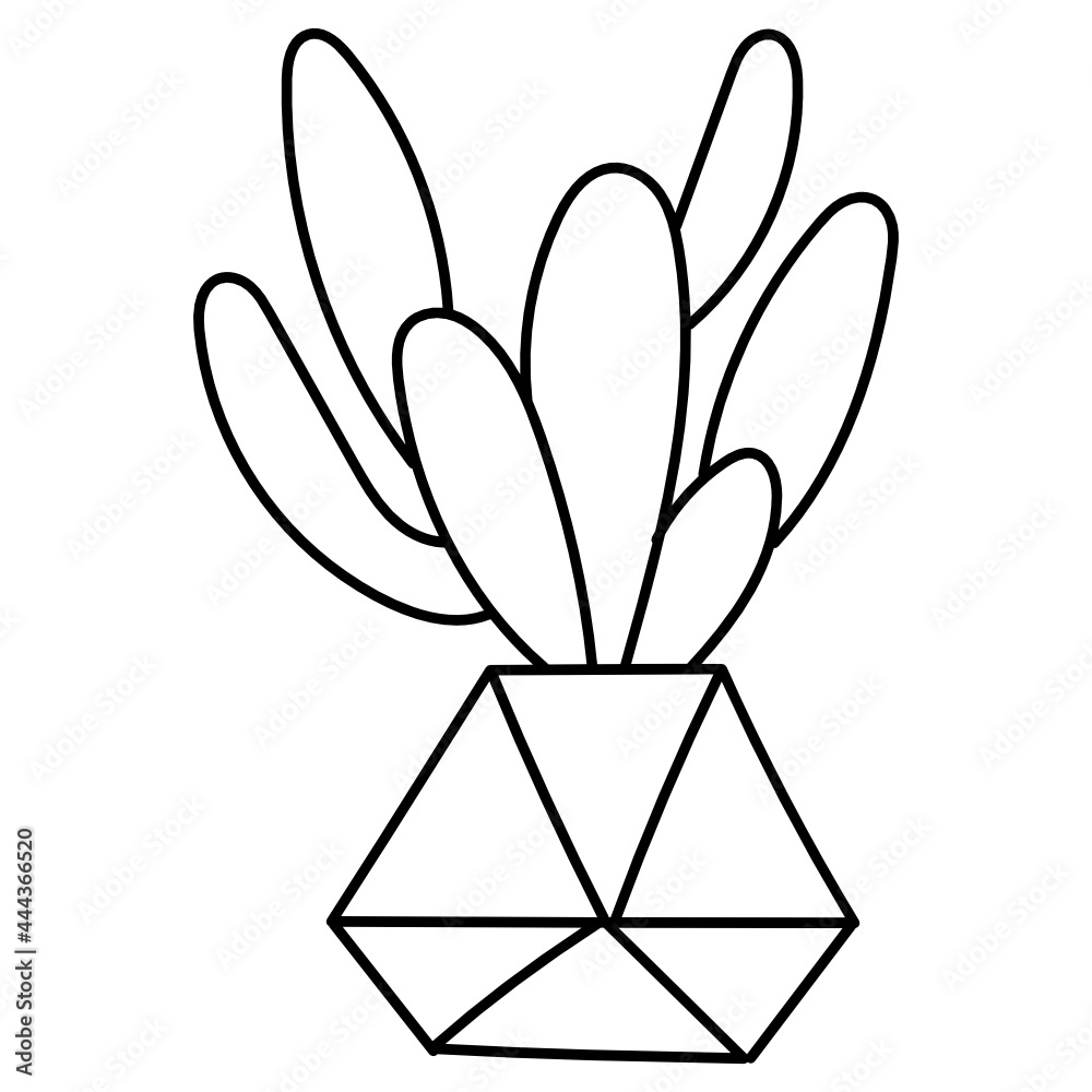 boho cactus line icon boho cactus line icon