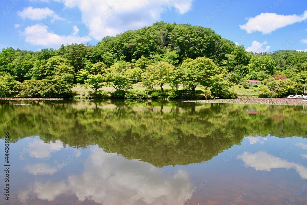 蛇の鼻遊楽園・すりばち池（福島県・本宮市）