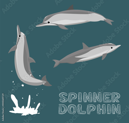 Spinner Dolphin Cartoon Vector Illustration photo