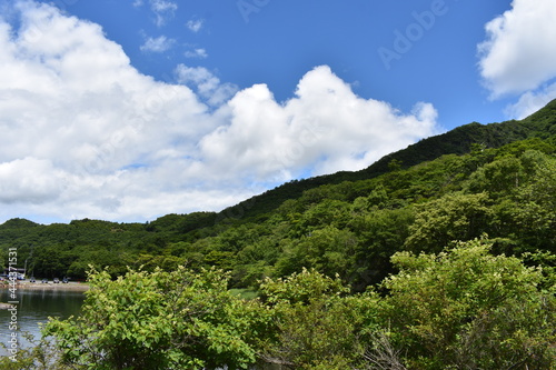 日本 群馬のパワースポット 赤城神社 夏の風景