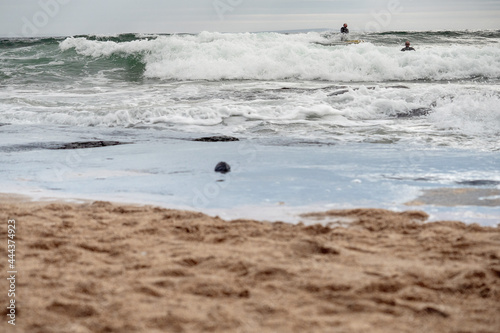 Surfers in the ocean wave. Yellow sand out of focus in foreground. Outdoor sport and activity concept