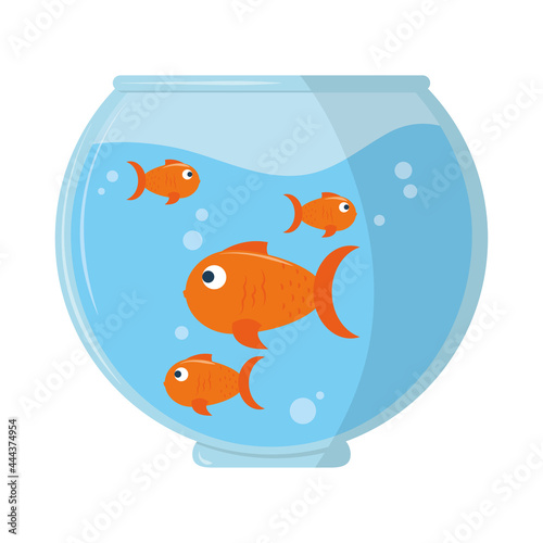 fishes in the bowl