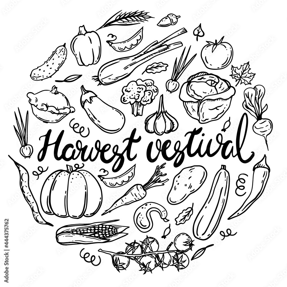 Vector illustration of the harvest festival. A set of autumn vegetables. Corn, squash, carrots, beets, peas, eggplant. Hand drawing. Doodles Vector illustration of the harvest festival. A set of autumn vegetables. Corn, squash, carrots, beets, peas, eggplant. Hand drawing. Doodles