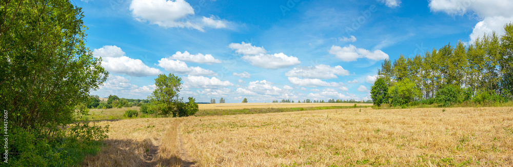 Fields and blue sky