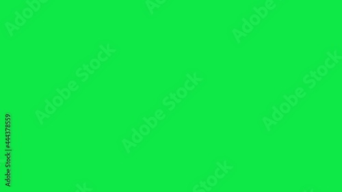 Animation of a Subscribe and Likes and Notification Button for Youtube motion graphics. Green screen.
