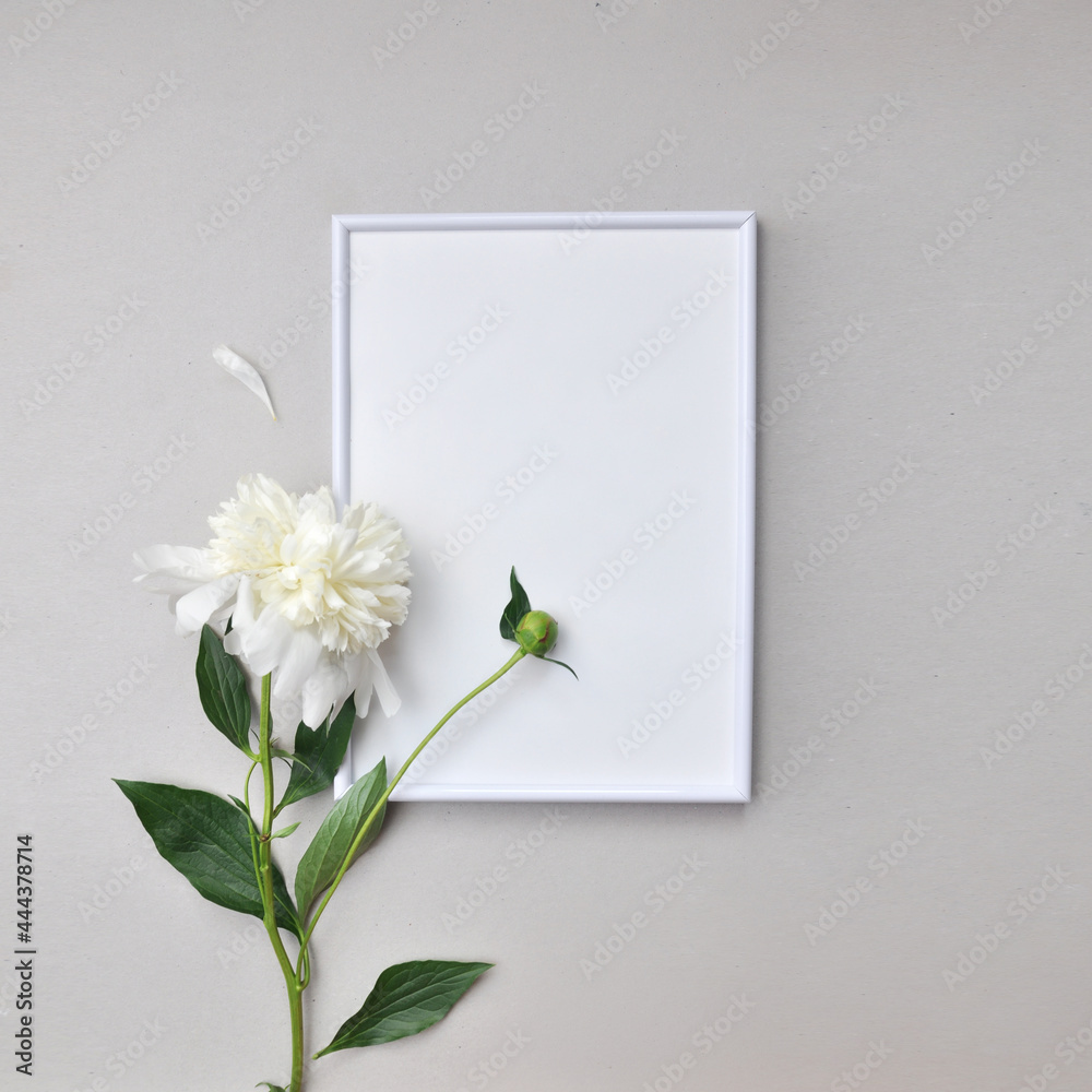 A white frame and a white peony flower next to it. Place the label in the frame. Mackup