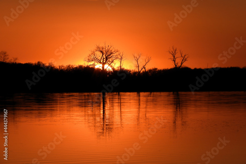Orange Autumn sunset with reflection of trees in silhouette at North Turtle Lake in Minnesota, USA 