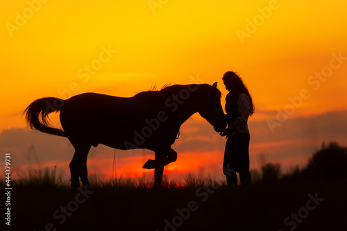 gentle silueata of a woman with a horse against the setting sun