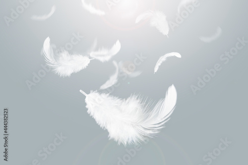 Photography Lightly Soft White Feathers Falling Down in The Sky.