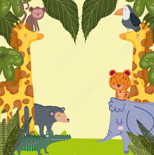 safari exotic animals