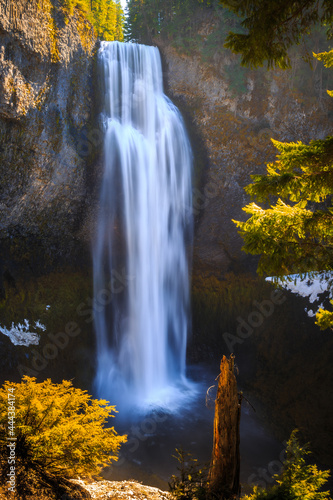 Salt Creek Falls  Willamette National Forest  Oregon