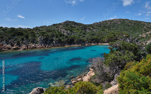 Cala Brigantina beach  little cove in Caprera island  Sardinia