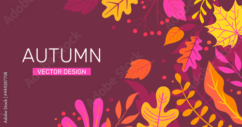 Fototapeta Naklejka Na Ścianę i Meble -  Autumn horizontal banner with colorful autumn leaves and place for text.Fall season flyers,presentations, reports promotion,web,leaflet, poster,invitation,website or greeting card. Vector illustration