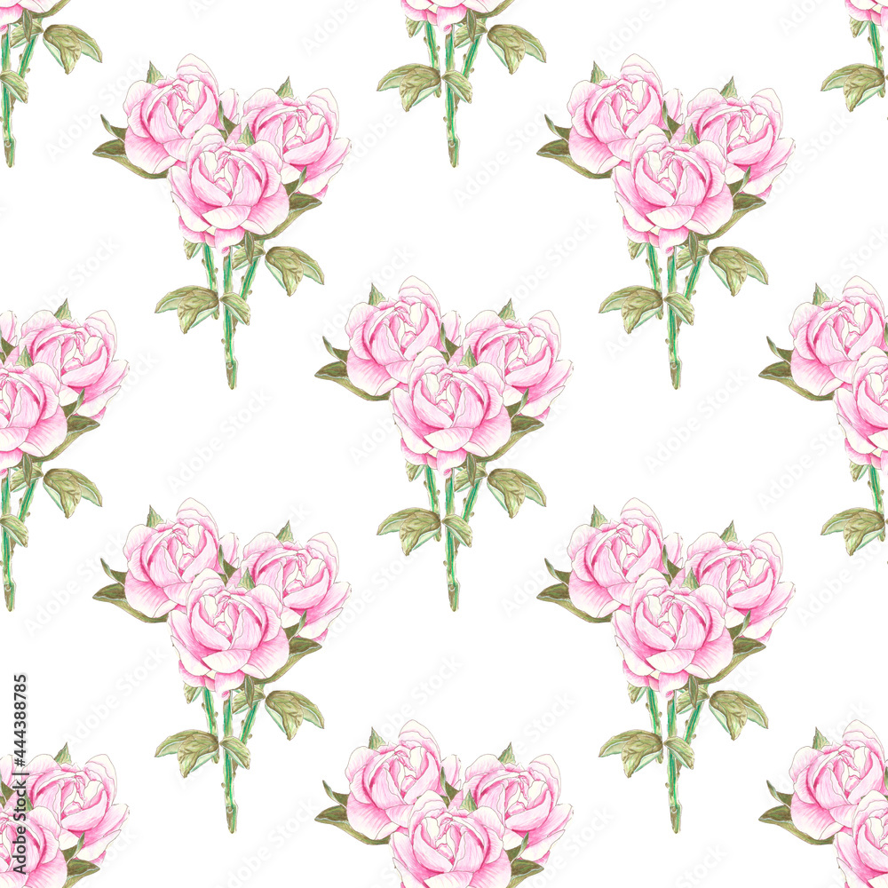 Painted watercolor pink peony pattern