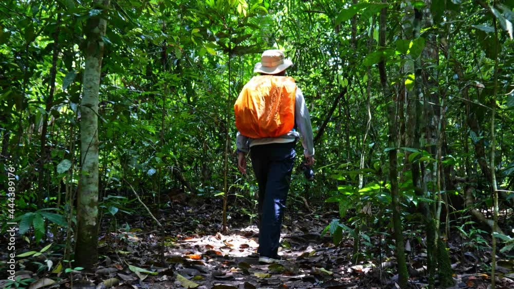 Young woman trekking with backpack in forest Young woman trekking with backpack in forest