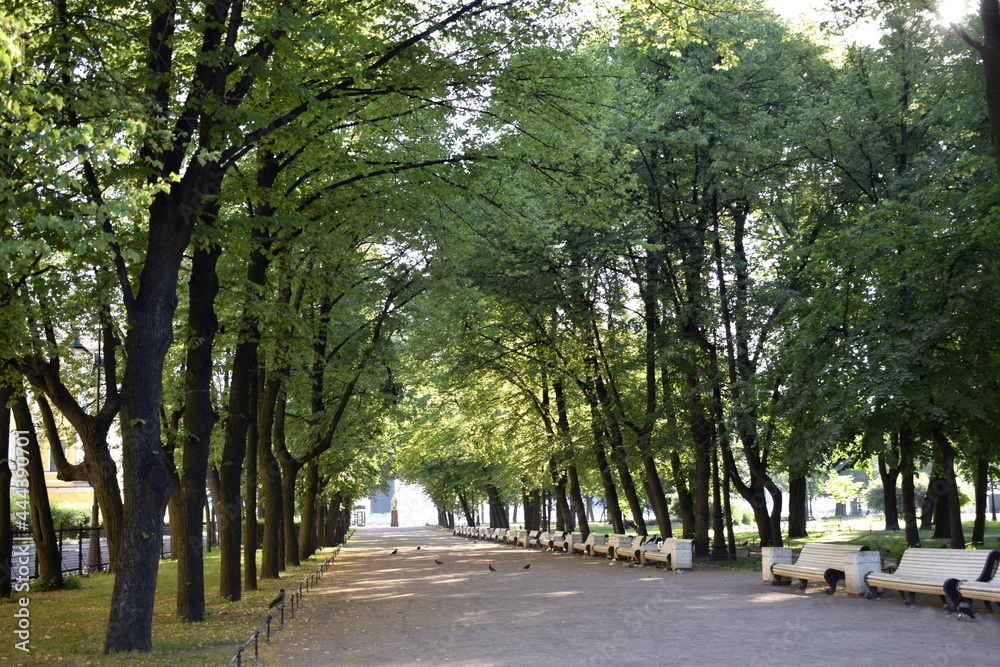 alley in the park