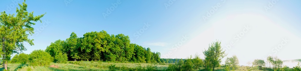 Spring forest and field on a background of blue sky