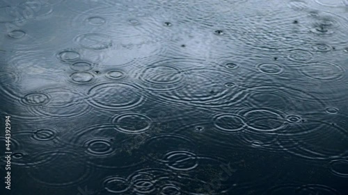 rain drop on the floor.