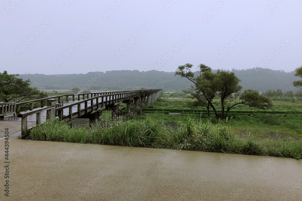 木製の長い蓬萊橋【大井川】／静岡県浜松市