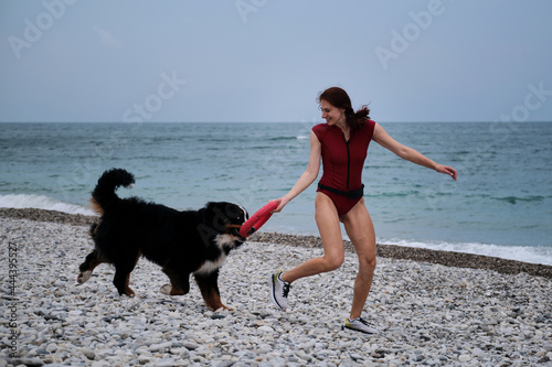 Walking with large dog on warm summer morning. Caucasian pretty red haired woman in sneakers and Bernese mountain dog with red toy ring in mouth are running fast and actively playing on pebble beach.