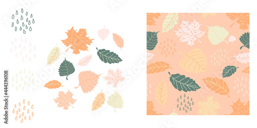 Set of autumn leaves and raindrops. Seamless pattern of  fall  leaves on beige. Vector collection. Perfect for printing on the fabric, design package and cover