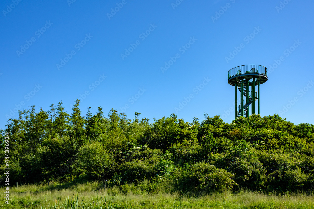 De Stille Kern is 900 hectare groot en de meest stille plek van het Horsterwold, het bos bevind zich nabij Zeewolde in Flevoland De Stille Kern is 900 hectare groot en de meest stille plek van het Horsterwold, het bos bevind zich nabij Zeewolde in Flevoland