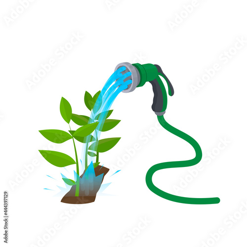 Garden hose. Watering plants, vector illustration