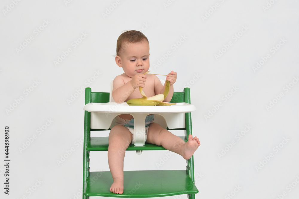 child who is playing while eating in a highchair on white background child who is playing while eating in a highchair on white background