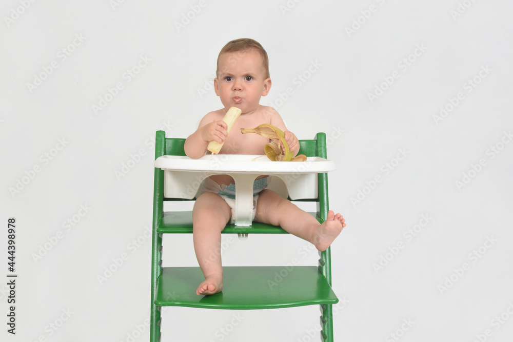 child eating and sitting in a highchair on white background child eating and sitting in a highchair on white background