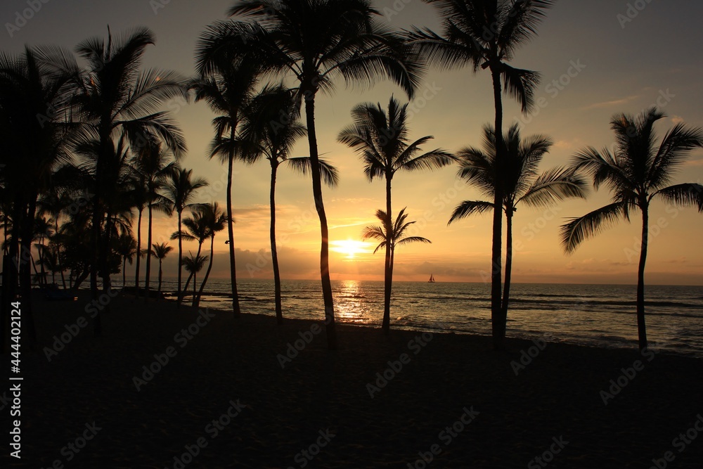 ハワイ島（ビッグアイランド）。夕暮れの浜辺。ヤシの木の向こうで海に沈む夕日
